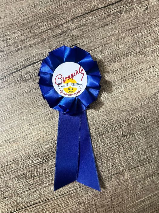 Robe-toci-esarfe-festivitati de absolvire