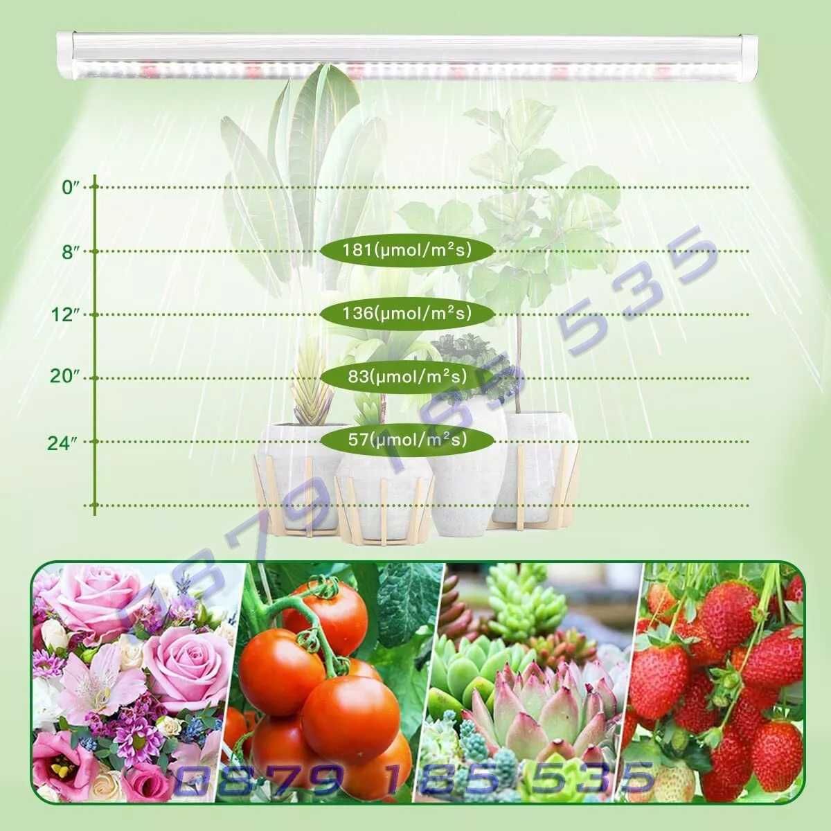 LED лампи отглеждане растеж стайни растения цветя лед фито светлини