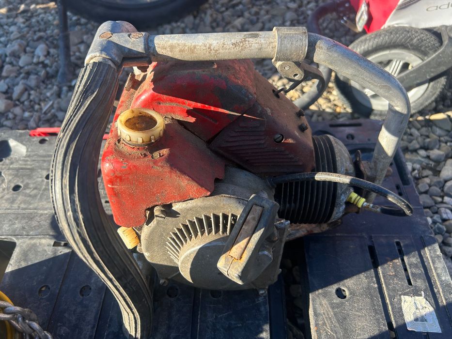 Drujba Retezat foarte veche