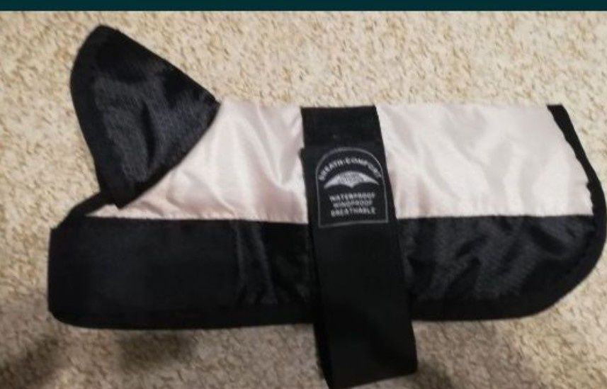 Haine caine talie mica