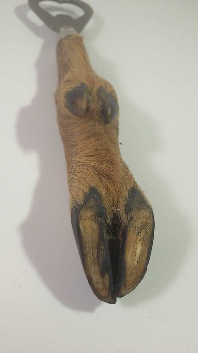 Отварачка от крак на елен