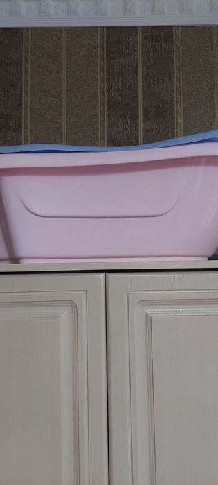 Отдам даром. Бесплатно