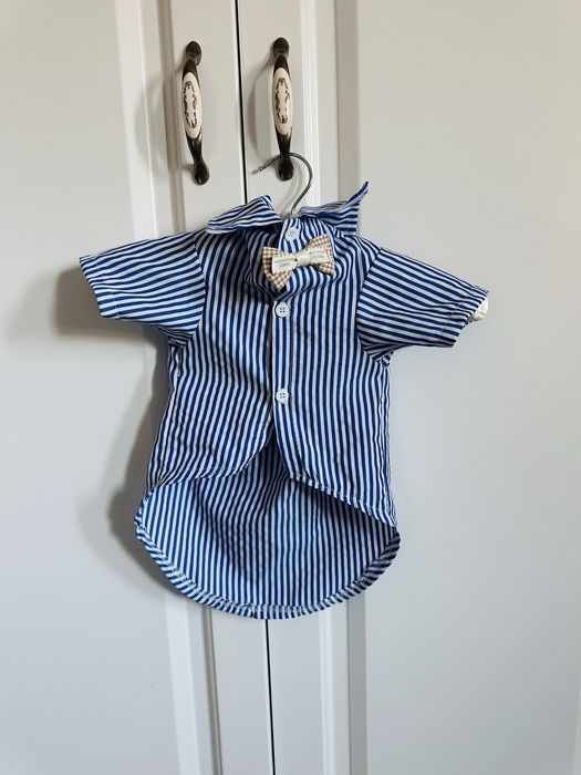 Haina pentru caine de talie mica si  medie, camasa cu fundita / papion