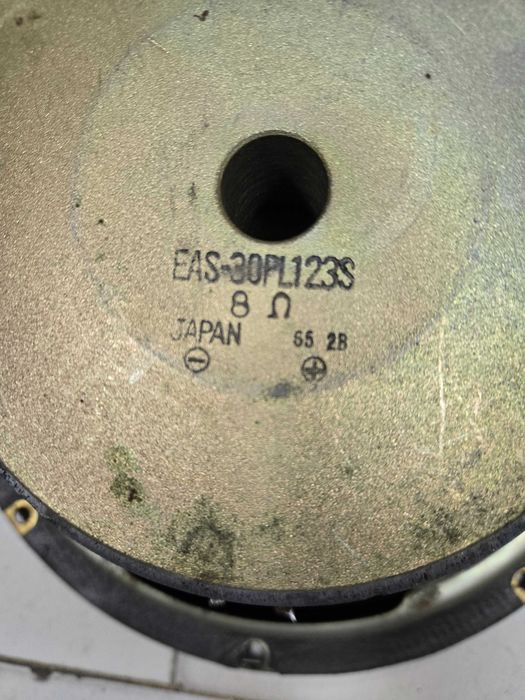 Японски говорители  RAMSA