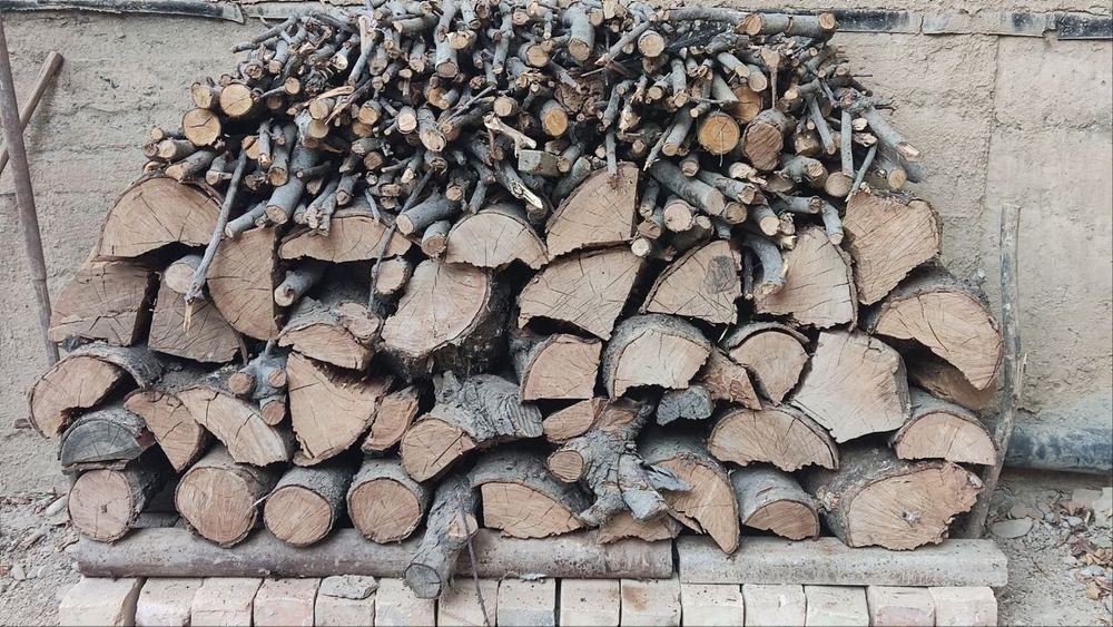 Утинлар сотилади нархлари келищилади