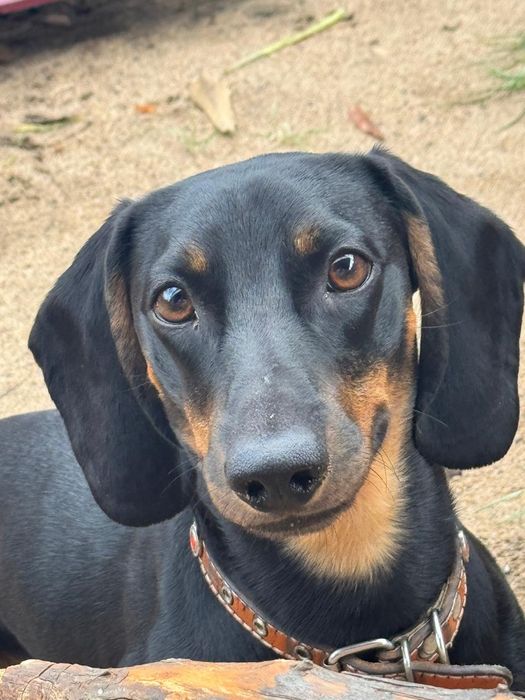 Предлагается для вязки кабель