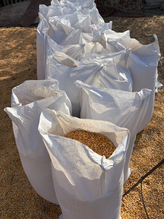 Кукуруща в мешках