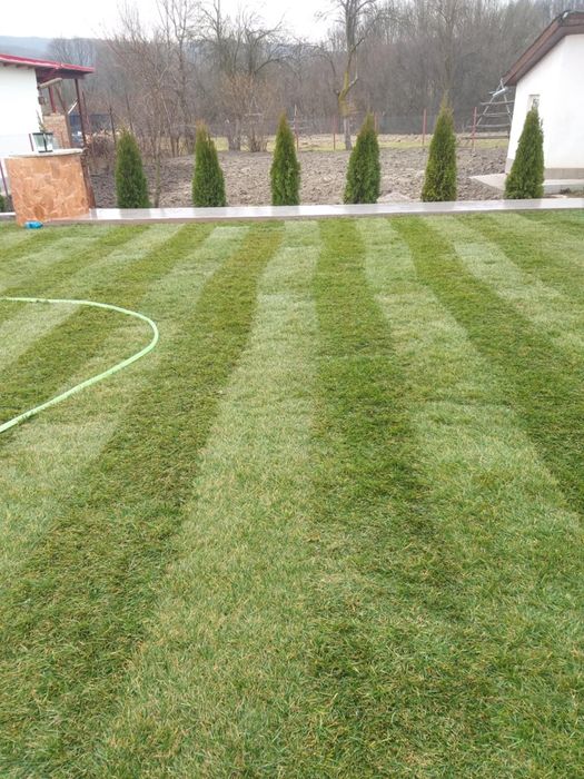 Vând și montez gazon Rulou