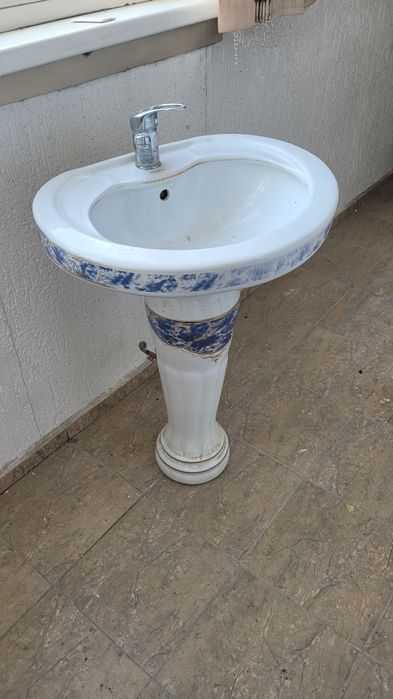 Раковина тюльпан