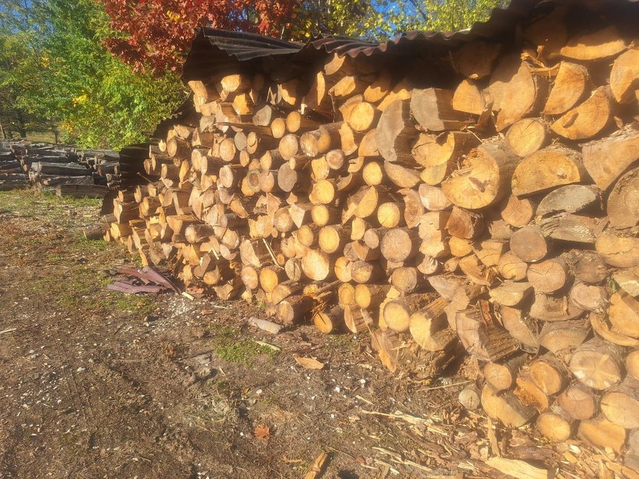 Lemn de foc esenta brad