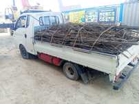 Toshkent shahar. Metallom olamiz .b/u