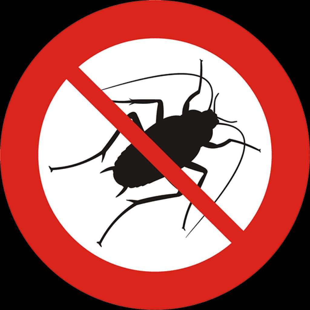 Дезинфекция Уничтожение тараканов клопов крыс муравьев комаров клещей