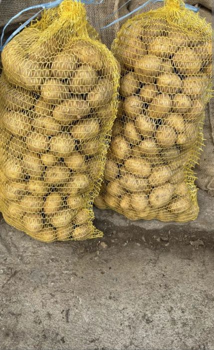 Картофи Сорая !!