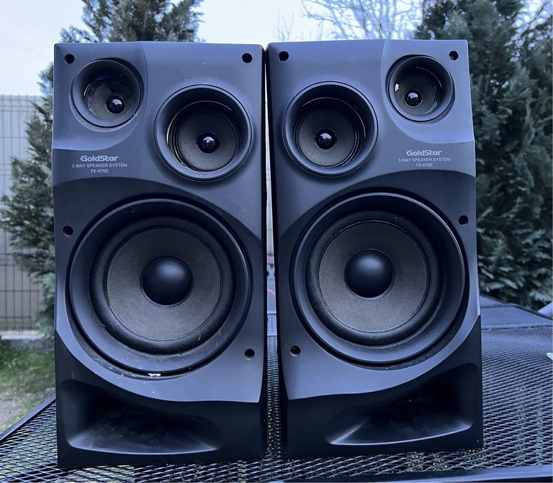 Boxe Goldstar FE-676E bass reflex
