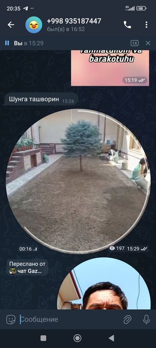 Bio gomus GAZON ekinlar uchun yovvoyi O'tlarsiz 1kg 900 so'm