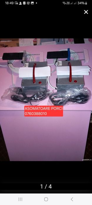 Asomator animale porci