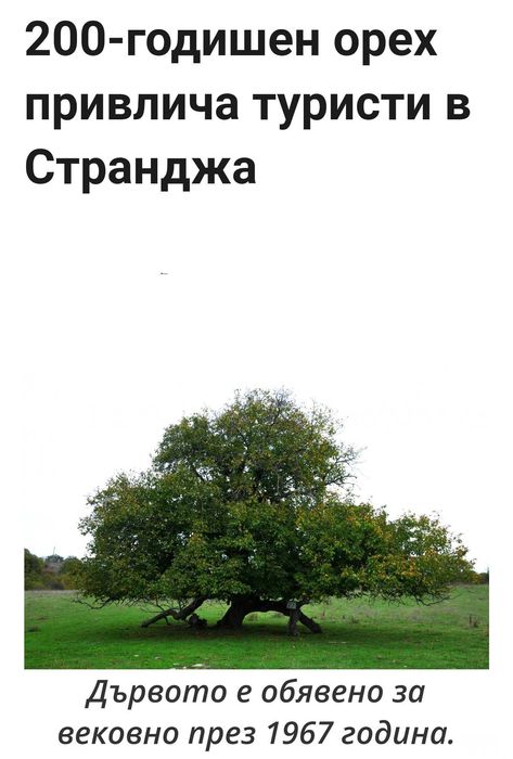 Продава се Къща в с. Варовник, Област Бургас - 150 кв.м за 134 €/кв.м - Снимка #7