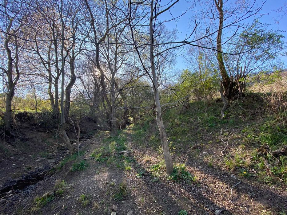 Teren superb Rimetea – acces auto, intimitate totală, pârâu aproape