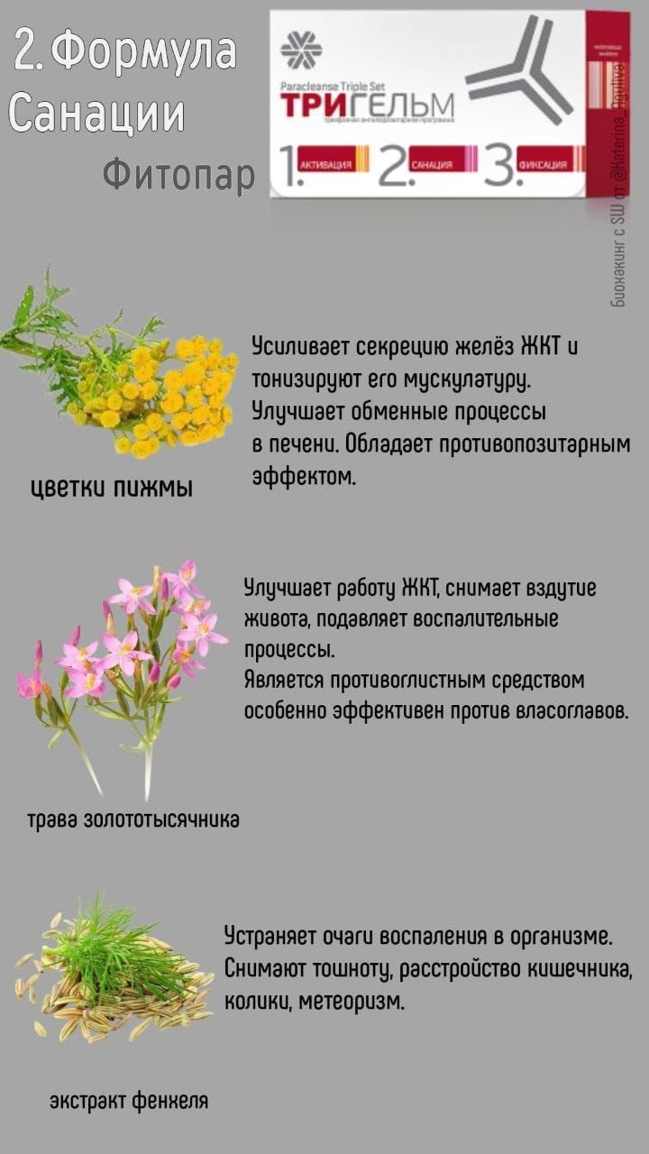 Антипаразитарная защита.Количество в упаковке 90 капсул .