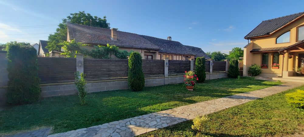 Întrețin spatii verzi, scarificat etc.