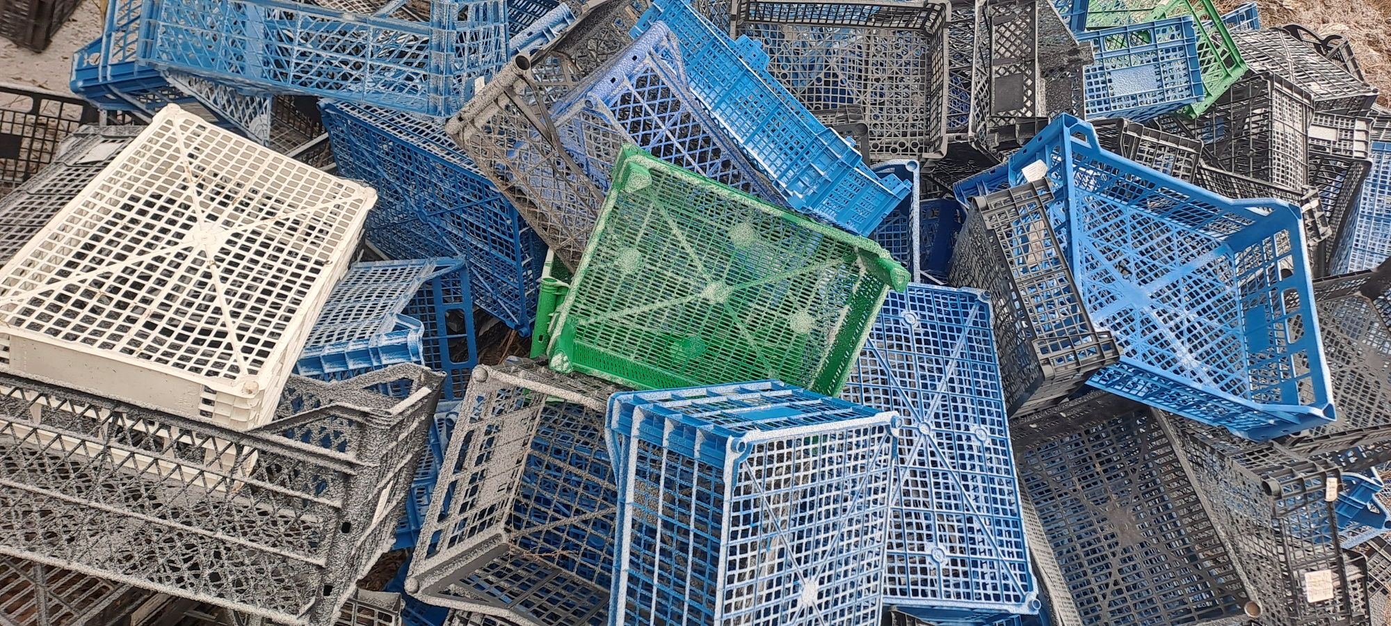 Ladite / Paleti din plastic / lemn
