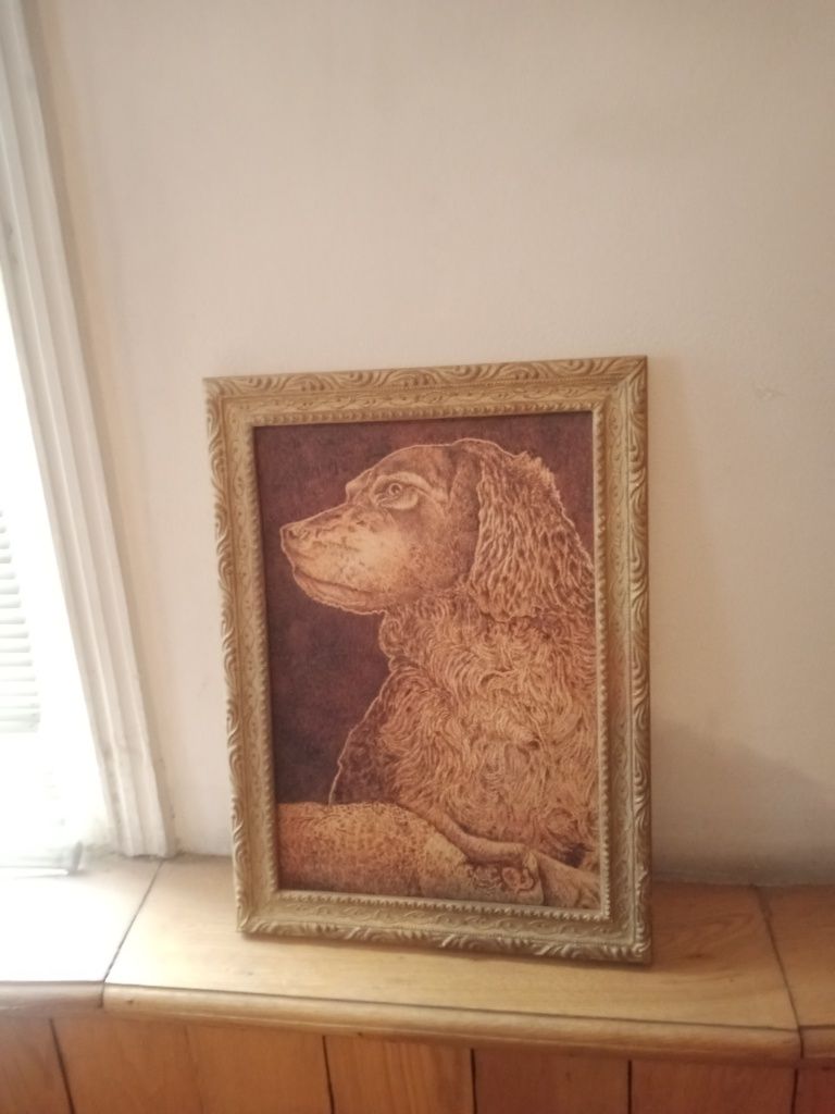 Продаётся картина собаки