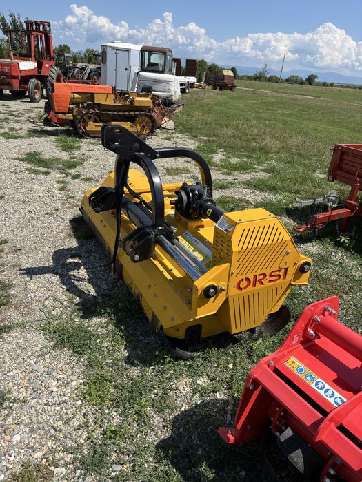 Tocatoare Orsi Dinamic 2000 an 2024