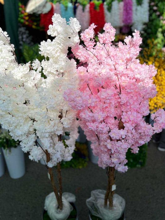 Декоративные деревья — красата без забот