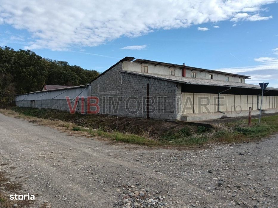 Ferma Agricolă 1.350 Hectare – Grad de Comasare 96–97%, Chișineu