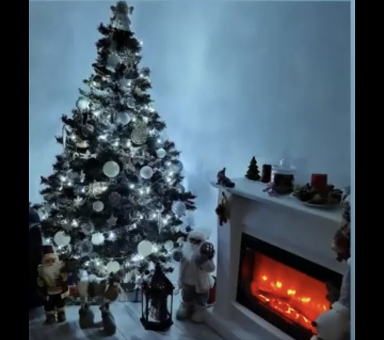 Brad Craciun, verde argintiu, conuri