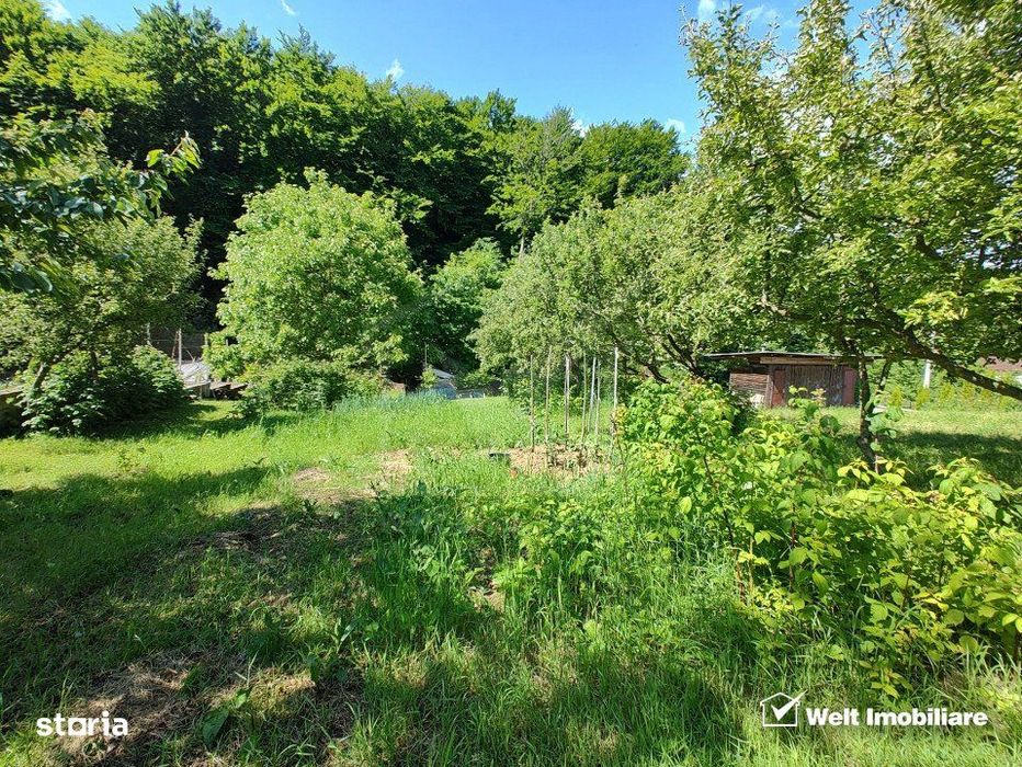 Oaza ta de liniste si verdeata, teren Faget cu parau in curte