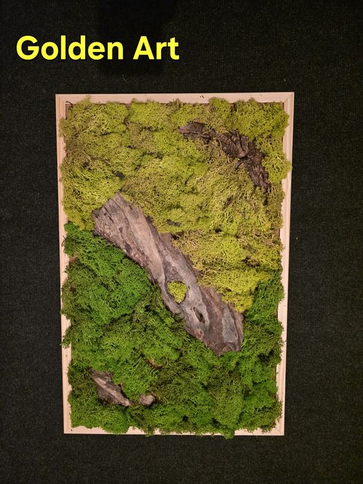 Tablou licheni stabilizati