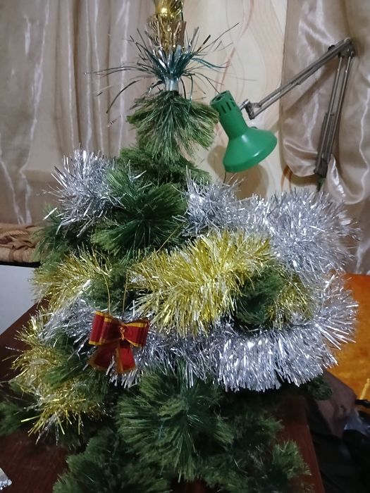 Ёлка и Дед Мороз 1950г.