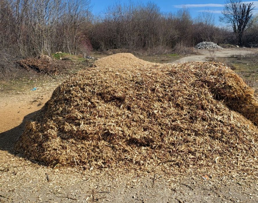 Toaletari, defrișări, îngrijiri vegetație