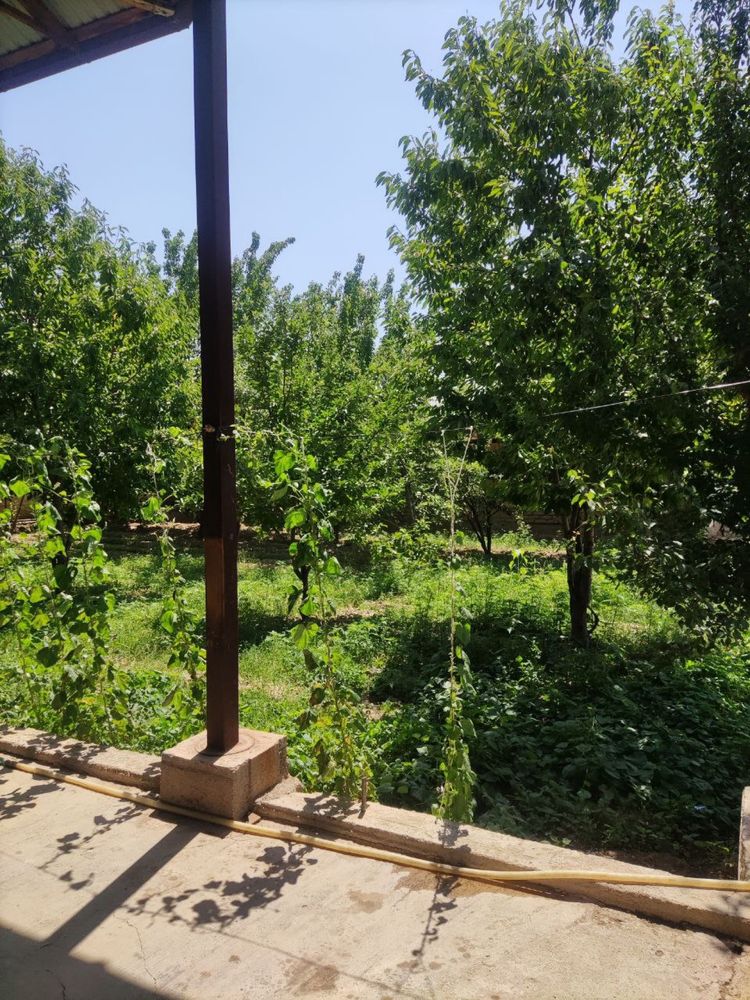 Участка, земля, ер, уй, ховли, хонадон, yer, dacha, uy.