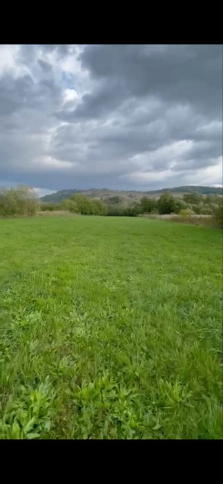 Teren Intravilan Bârsau Hunedoara 5400 mp