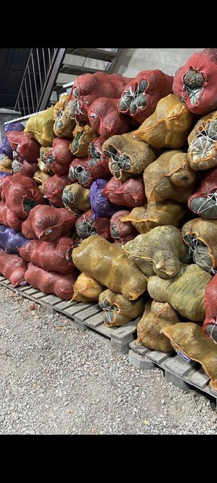 Продам тыква турпан 100тг