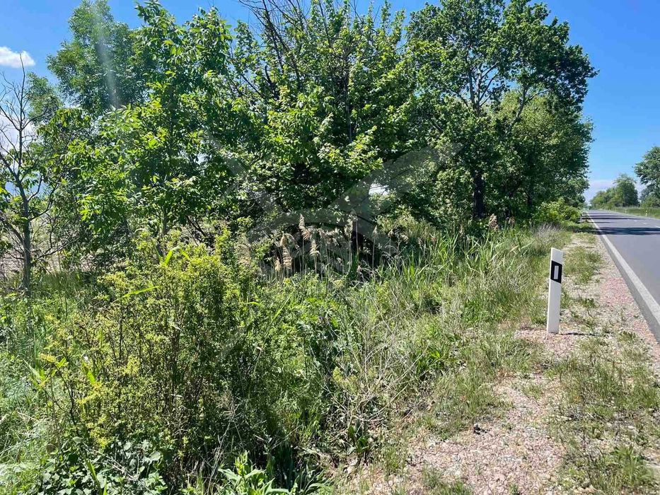 Земеделска земя в с. Ягодово! 59986