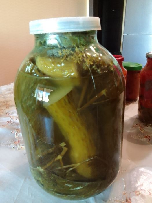 Солёные огурцы, ферментированные