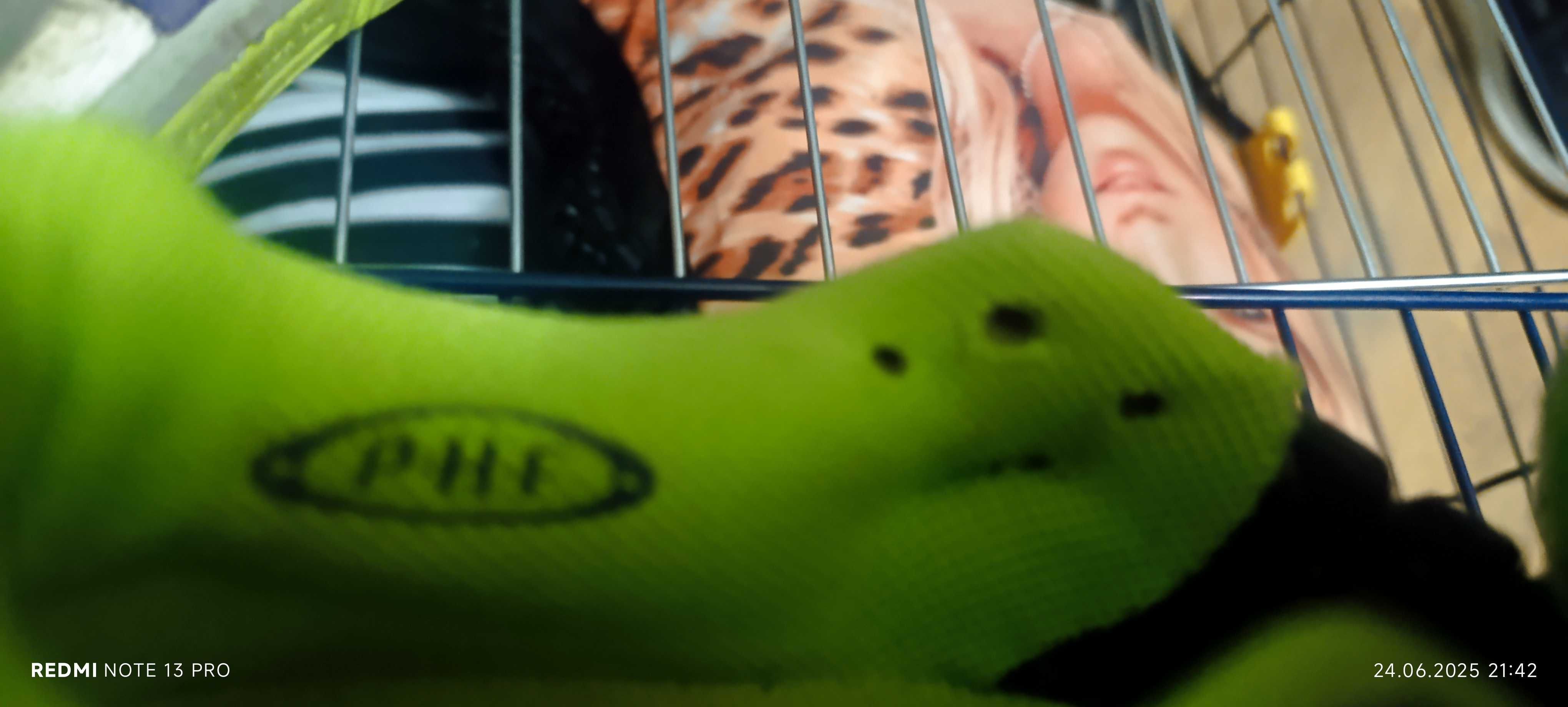 Маратонки ASICS 37.5
