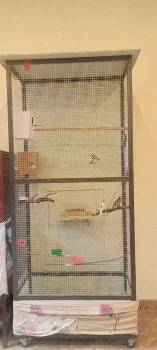 Valer qush uchun in
Akvarin 350 literli