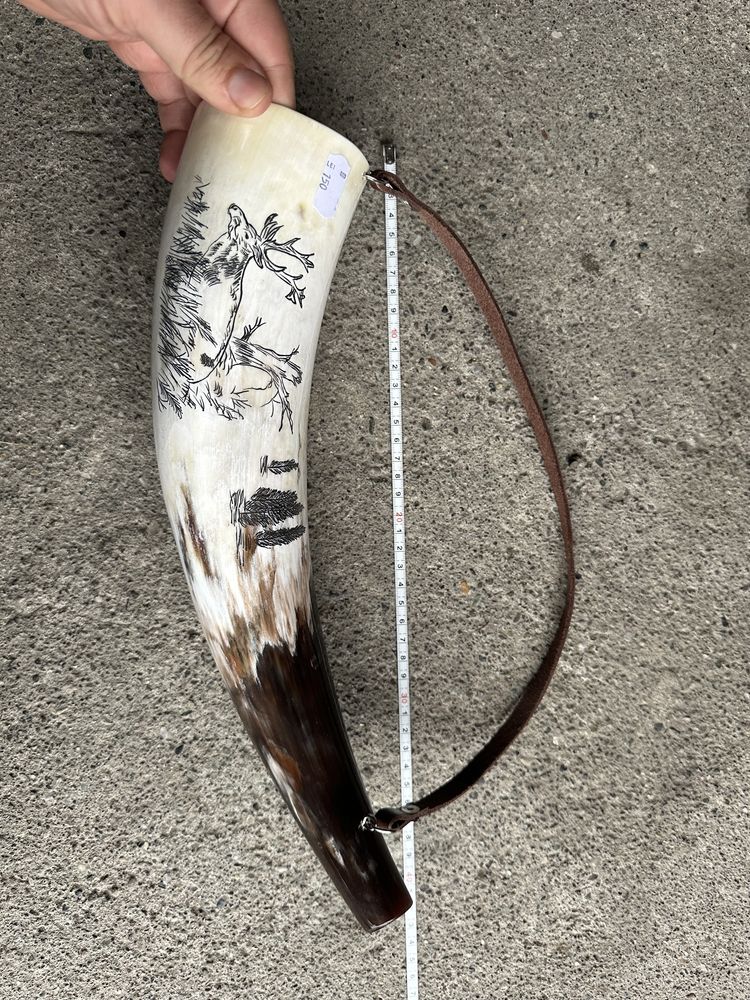 Coarne Lupta Viking , Coarne de baut , corn dr taur