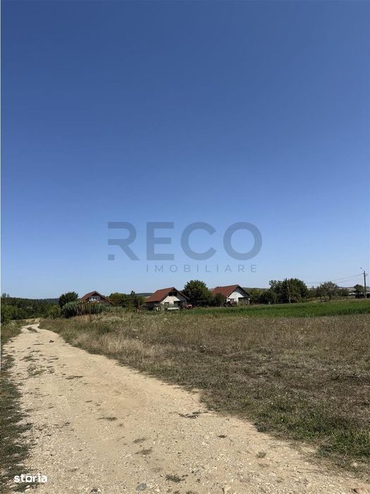 Reco, Teren in Ineu, Bihor