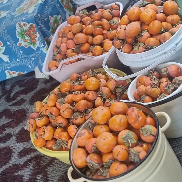 Продам хурму свой огород