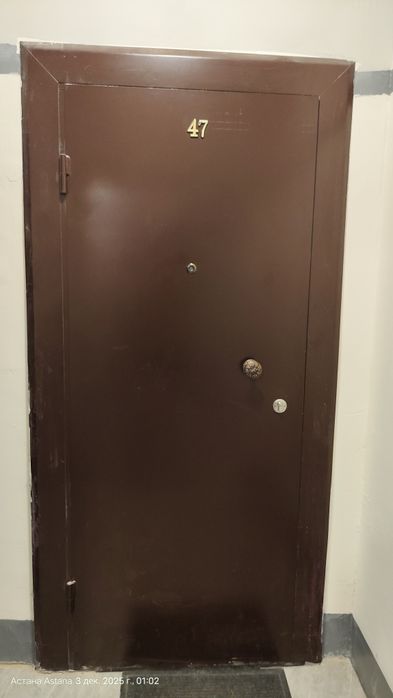 Железная дверь железная дверь