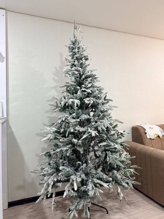 Ель снежная новая