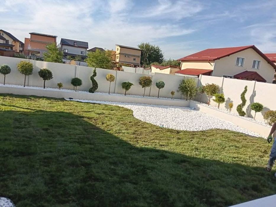 Amenajăm curți gazon rulou sport