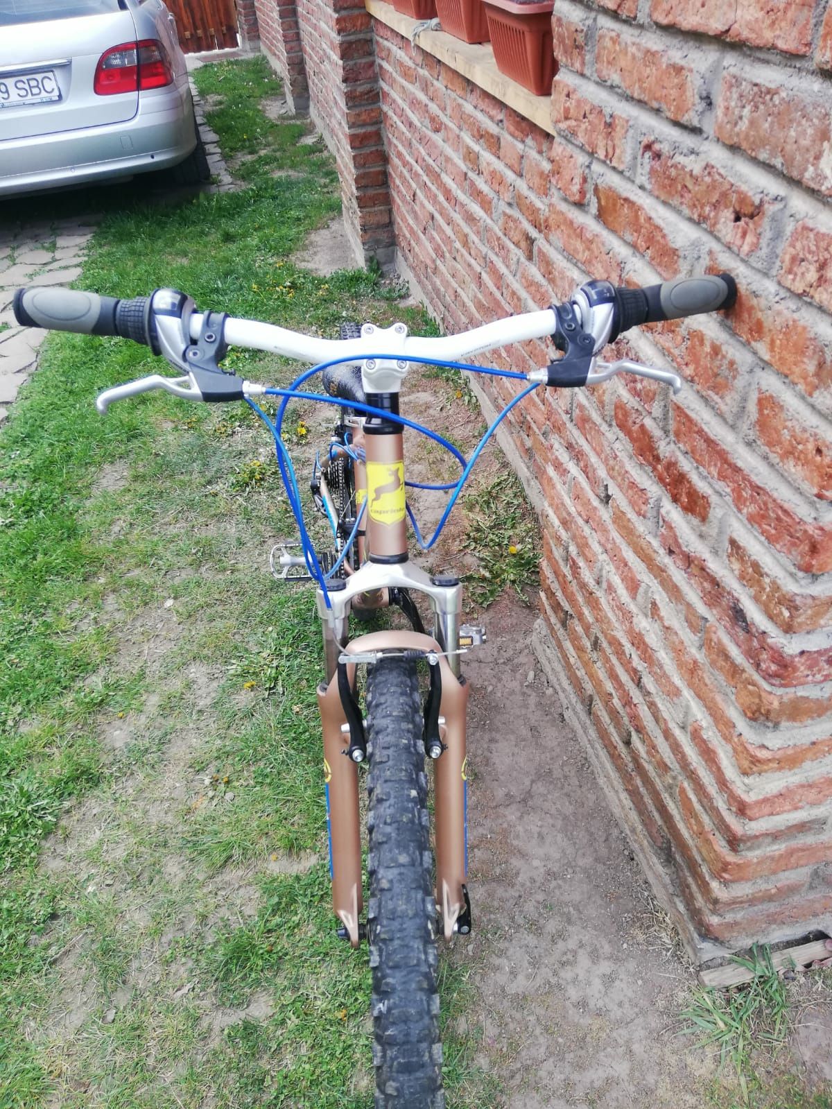 Bicicleta dirt bike