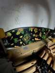 longboard D street