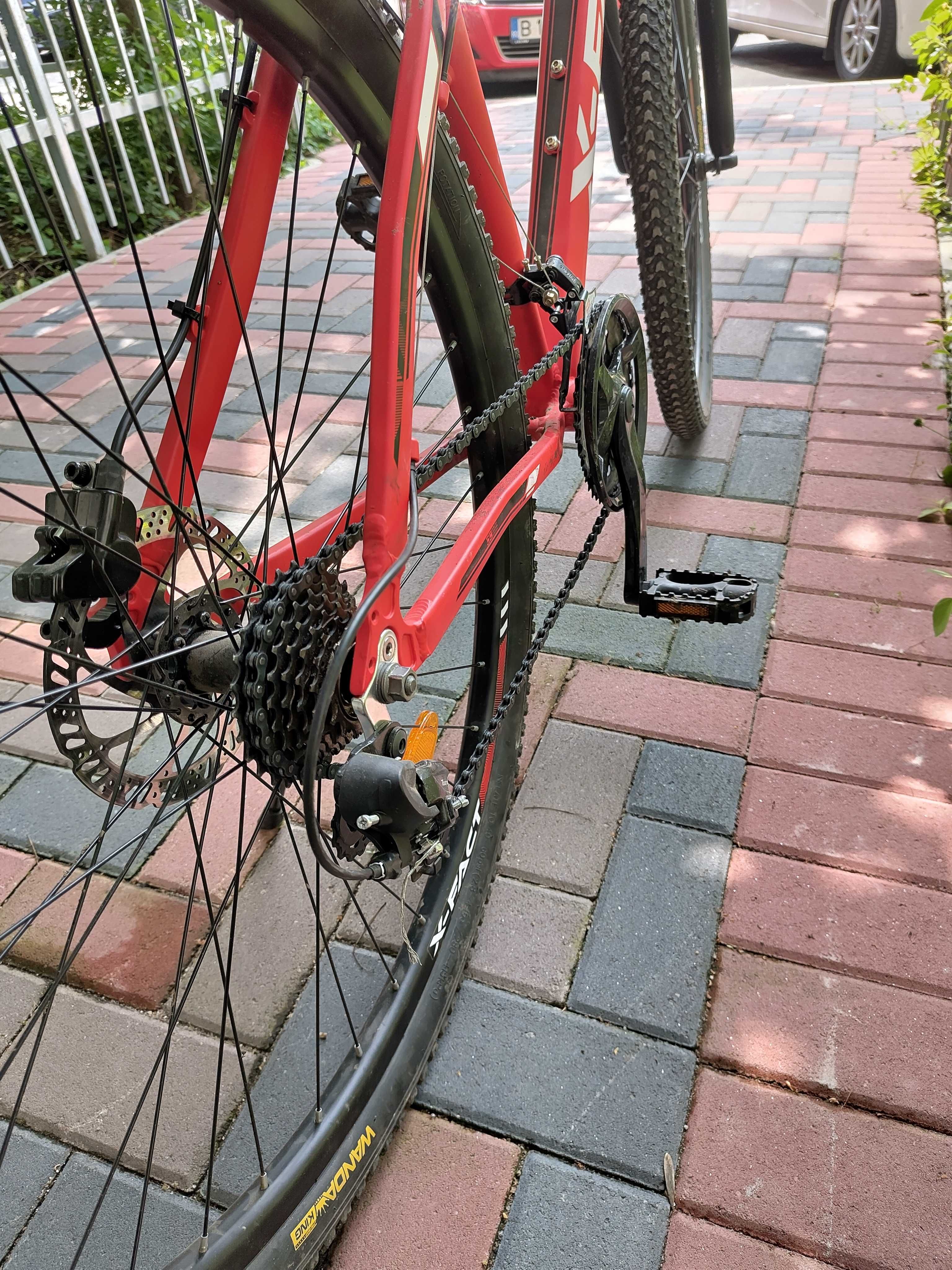 MTB Hardtail X-Fact Atlas 29''